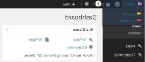 How_to_add_several_languages_to_wordpress_dashboard_9
